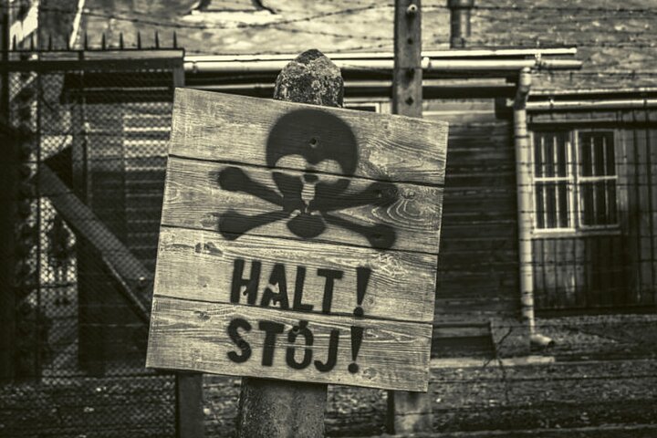 Small Group Auschwitz Tour from Lodz with Lunch