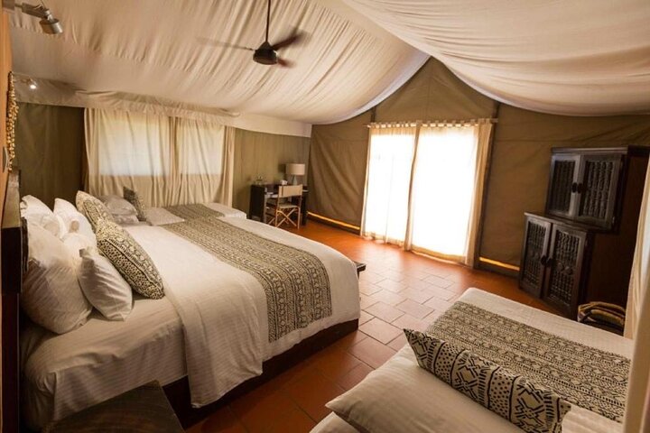 3 Days Zaina Luxury Stay Mole Safari