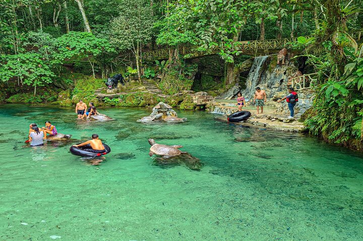 Alto Mayo Full Day Tour from Tarapoto