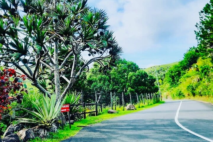 Picturesque South Tour Of Mauritius, Incl Lunch,7-Coloured Earth