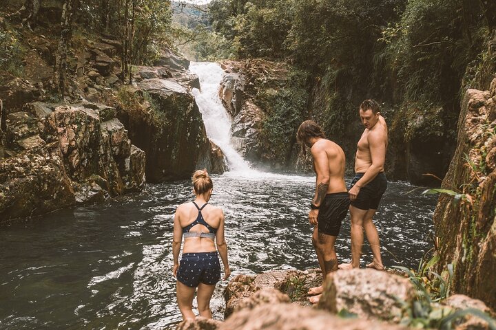 Eungella Platypus Tour