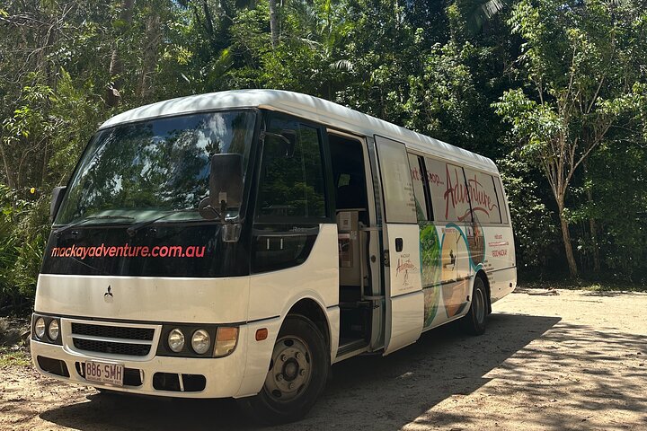 Eungella Platypus Tour