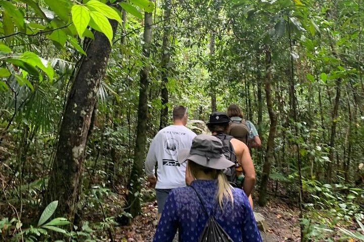 Eungella Platypus Tour