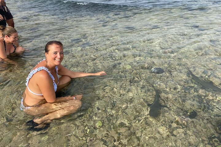 Private Sal Island Lemon Shark Tour with Native Guide