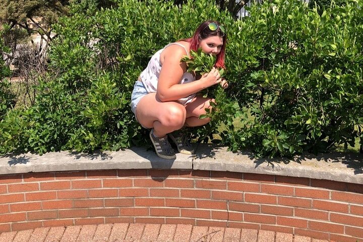 Adventurous Scavenger Hunt in Waco by Operation City Quest
