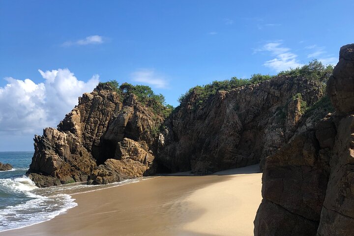 EcoHike to private beach, Jungle Walk to see plants & animals