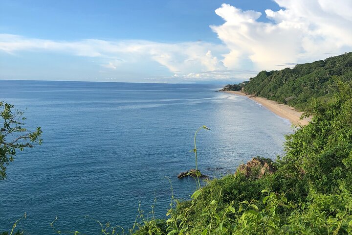 EcoHike to private beach, Jungle Walk to see plants & animals