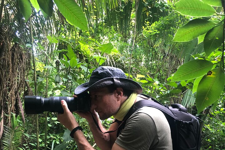 EcoHike to private beach, Jungle Walk to see plants & animals