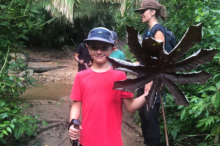 EcoHike to private beach, Jungle Walk to see plants & animals