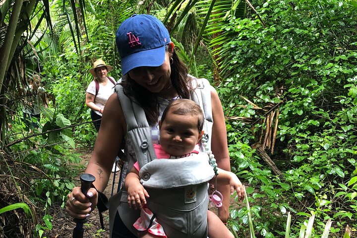 EcoHike to private beach, Jungle Walk to see plants & animals