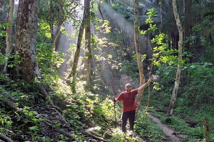EcoHike to private beach, Jungle Walk to see plants & animals