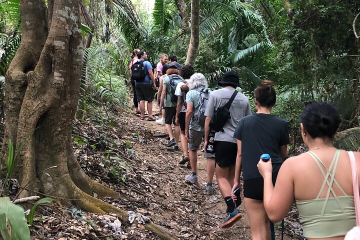 EcoHike to private beach, Jungle Walk to see plants & animals