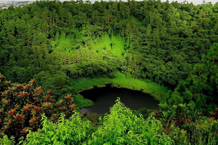 Fascinating Nature Tour Incl Ebony Forest, 7 Coloured Earth,Lunch