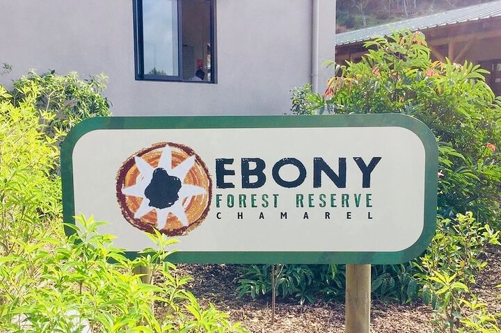 Fascinating Nature Tour Incl Ebony Forest, 7 Coloured Earth,Lunch