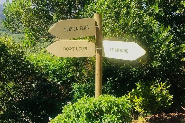 Fascinating Nature Tour Incl Ebony Forest, 7 Coloured Earth,Lunch