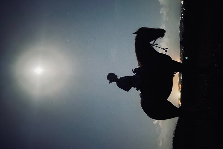 Horseback Riding Experience