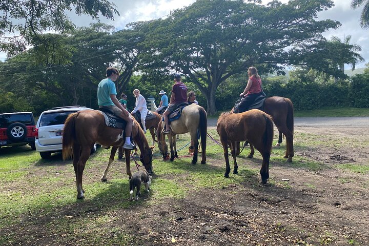 Horseback Riding Experience