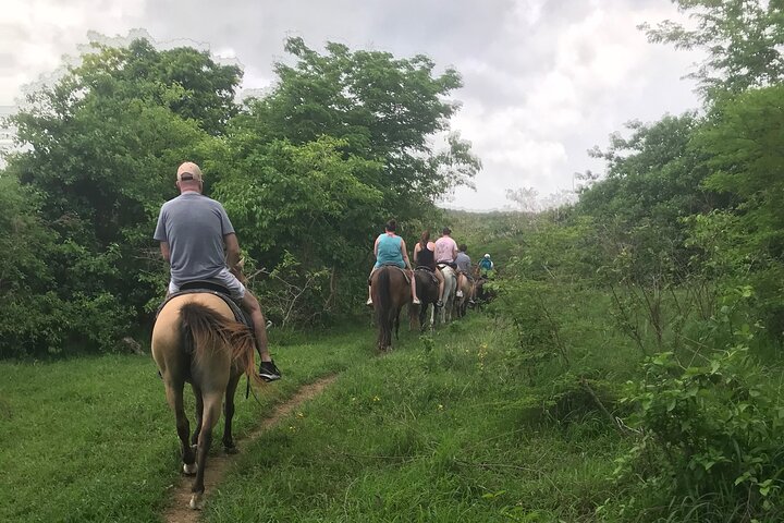 Horseback Riding Experience