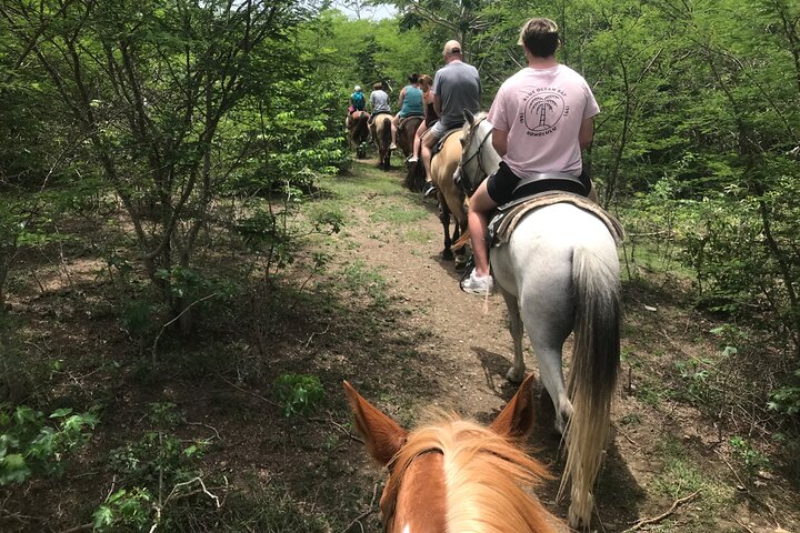 Horseback Riding Experience