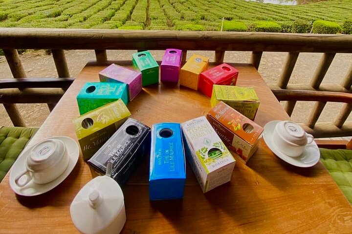 Discover The South Of Mauritius With Local Rhum&Tea Tasting+Lunch