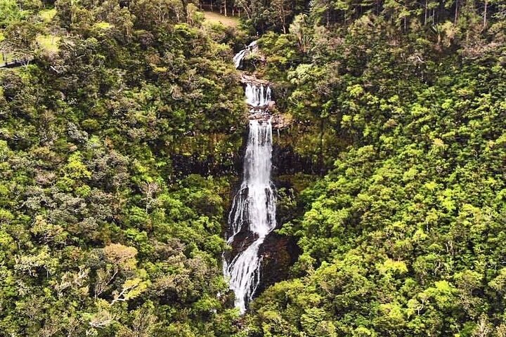 Discover The South Of Mauritius With Local Rhum&Tea Tasting+Lunch