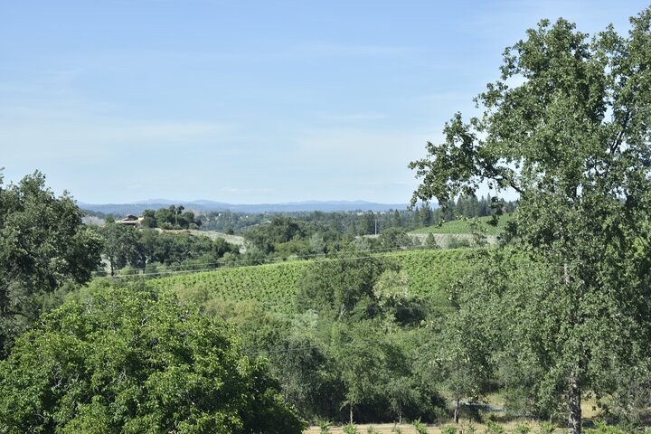 Lodi wine tasting tours Customized private Wine Tour