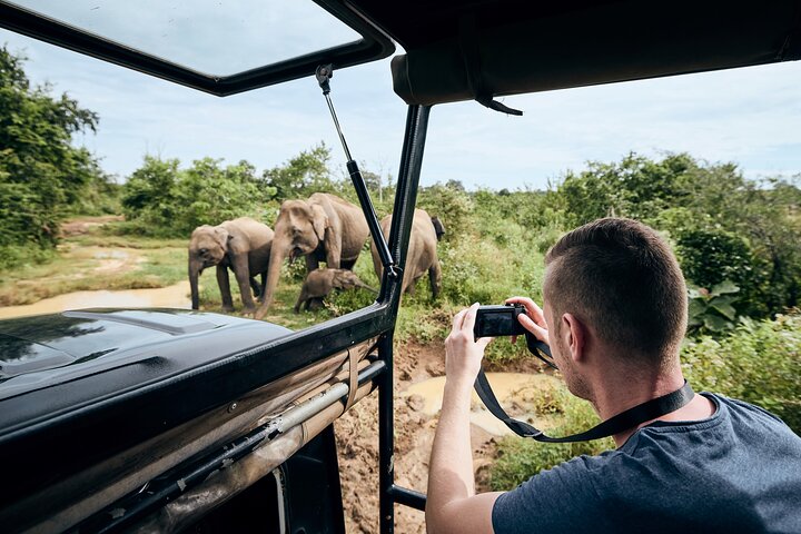 Yala National Park Wildlife Safari/ Game Drive - by Ajith Safari