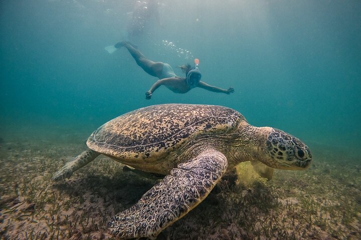 Exploring Nosy Sakatia with guide