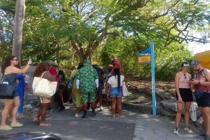 Nassau's Half Day Bus City Tour: Guided Tour with Free Samples