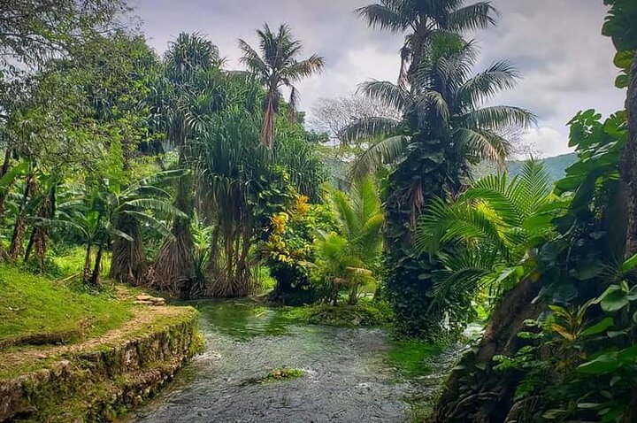 Rastafari Cultural ATV Community Experience from Negril