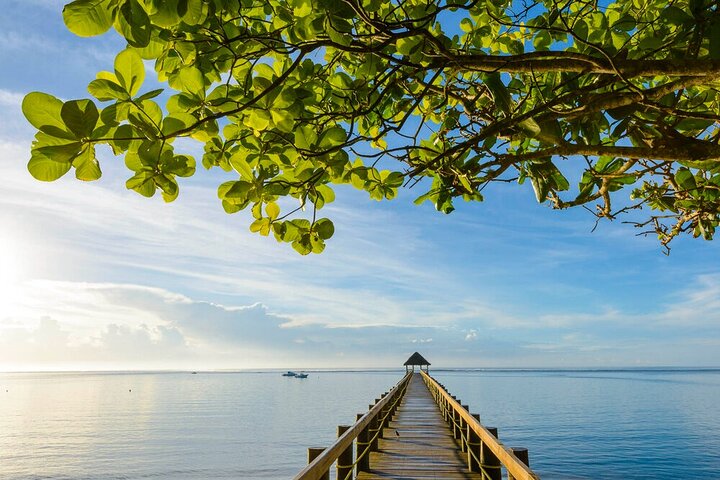 Round The Island Day Trip Fiji- Viti Levu
