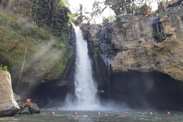 Best Bali Ubud Full Day All-Inclusive Private Tour