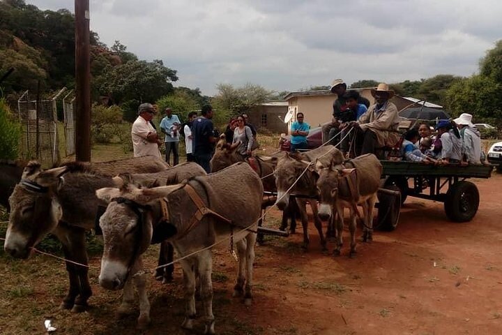 Half Day Tour from Gaborone (Manyana Village Visit)