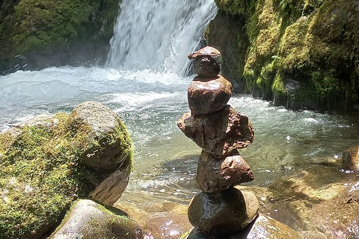 Mindo Cloud Forest: Hummingbirds, Birding & Waterfall Tour