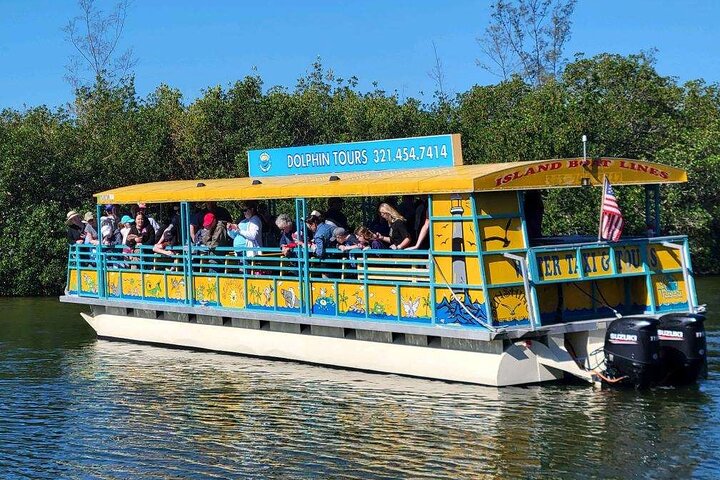 Cocoa Beach Dolphin and Wildlife Tour