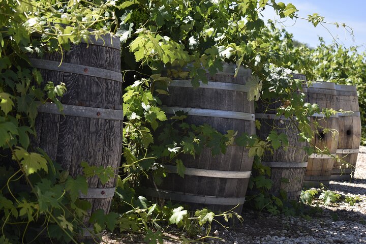 Lodi wine tasting tours Customized private Wine Tour