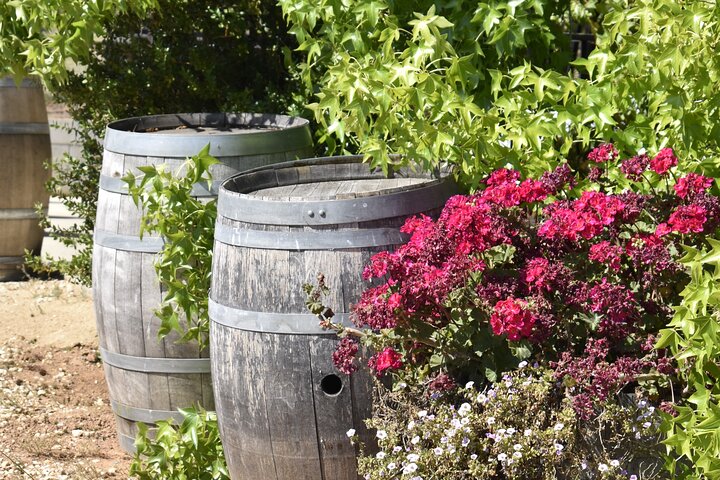 Lodi wine tasting tours Customized private Wine Tour