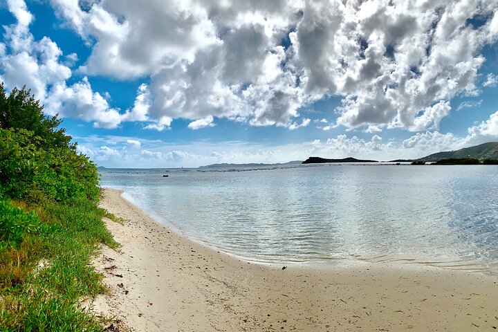 Tortola Private Tour and Snorkeling in the most beautiful beaches