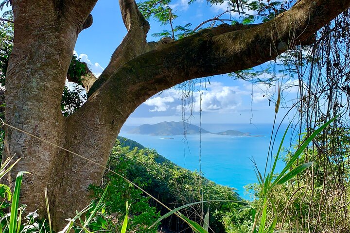 Tortola Private Tour and Snorkeling in the most beautiful beaches