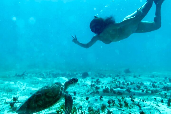 Tortola Private Tour and Snorkeling in the most beautiful beaches