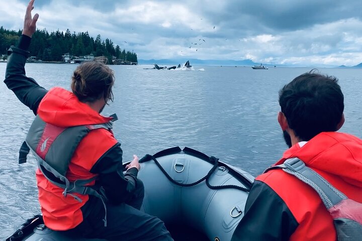 Ketchikan Zodiac Boat Adventure