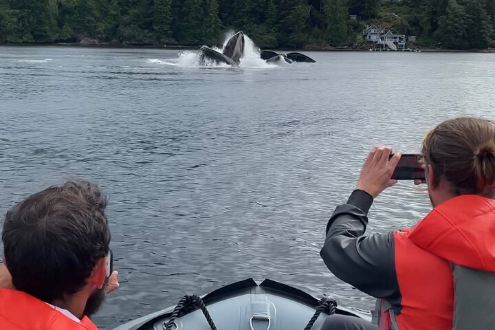 Ketchikan Zodiac Boat Adventure