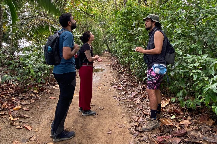Cahuita National Park Tour and Water Experience in Puerto Viejo