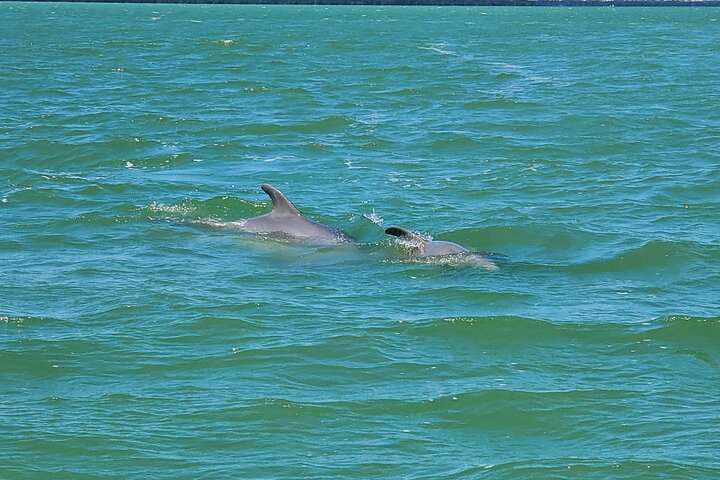 Sunset Dolphin Cruise with Sanibel Lighthouse Views