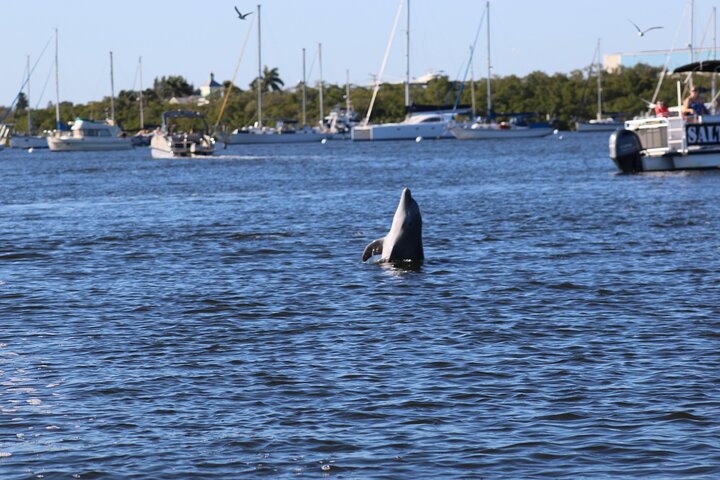 Sunset Dolphin Cruise with Sanibel Lighthouse Views