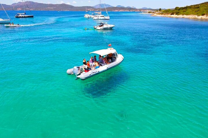 Boat tour to explore the Marine Protected Area of Tavolara