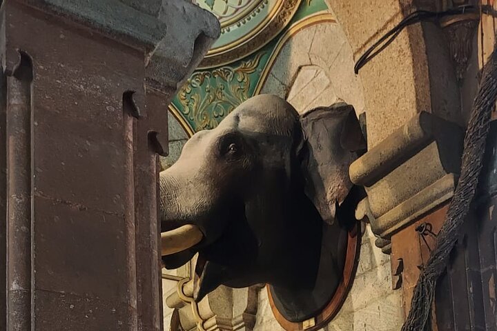 (Mysuru) Mysore Day Out - A Royal Experience Private Tour from Bangalore
