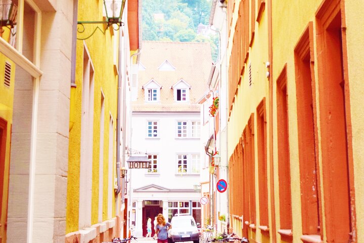 Heidelberg Exclusive Tour - Old Town, Scenic Walk & Castle Entry