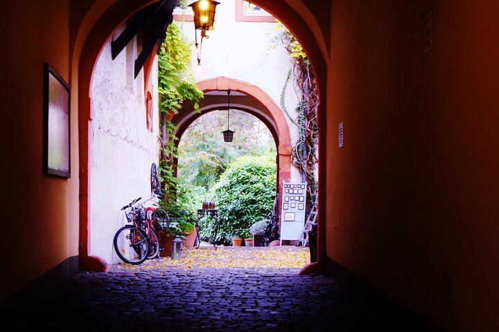 Heidelberg Exclusive Tour - Old Town, Scenic Walk & Castle Entry