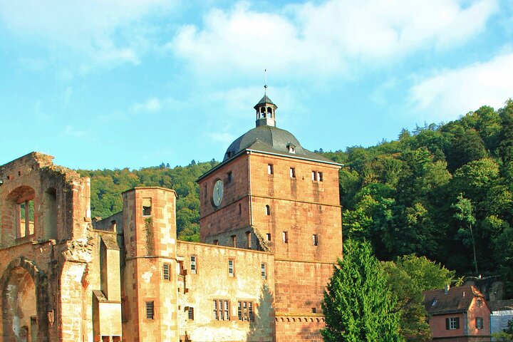 Heidelberg Exclusive Tour - Old Town, Scenic Walk & Castle Entry